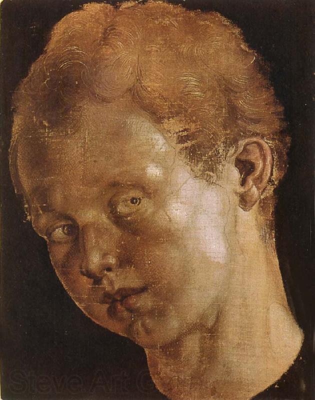 Albrecht Durer Head of a boy facing toward the left France oil painting art